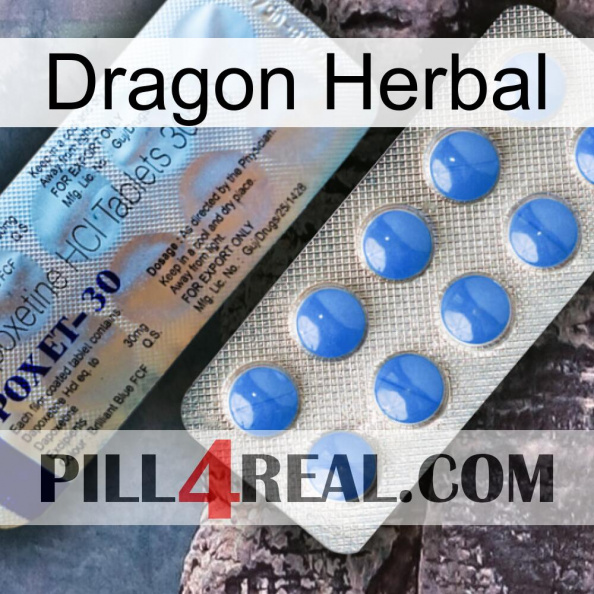 Dragon Herbal 39.jpg